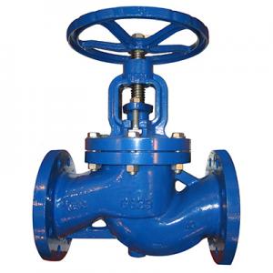 DIN Globe Valve