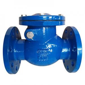 DIN Swing Check Valve