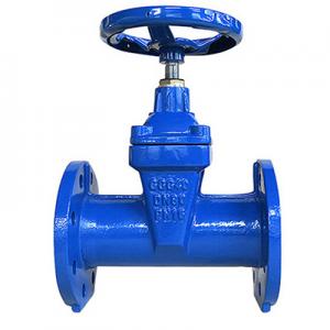 F5 Resilient Seated Gate Valve