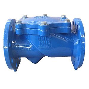 Rubber Disc Check Valve