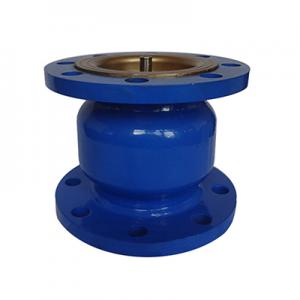 Silent Check Valve